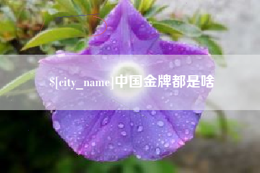 十堰中国金牌都是啥