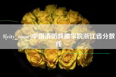 十堰中国消防救援学院浙江省分数线