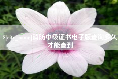 十堰消防中级证书电子版查询多久才能查到