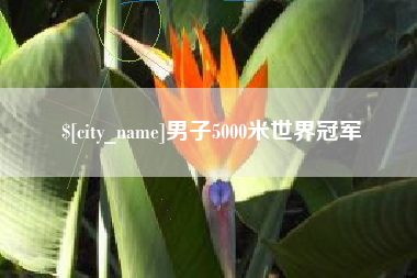 十堰男子5000米世界冠军