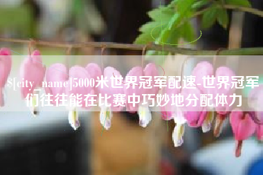 十堰5000米世界冠军配速-世界冠军们往往能在比赛中巧妙地分配体力