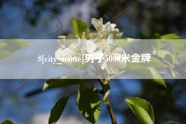 十堰男子5000米金牌