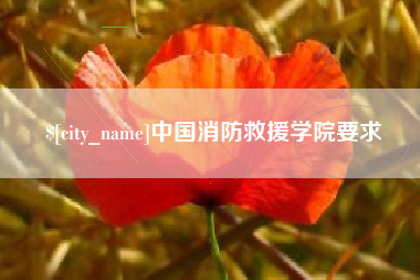 十堰中国消防救援学院要求