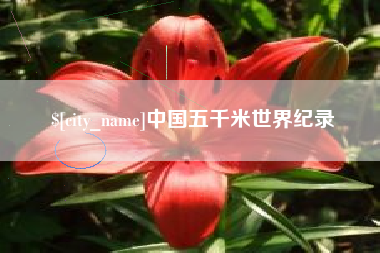 十堰中国五千米世界纪录