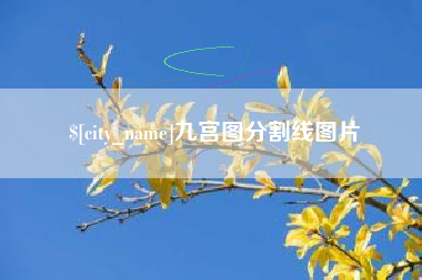 十堰九宫图分割线图片
