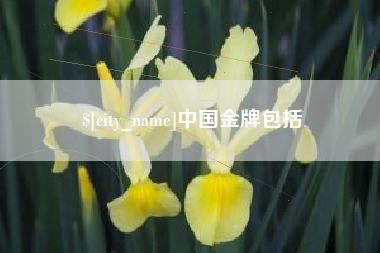 十堰中国金牌包括