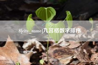 十堰九宫格数字排序