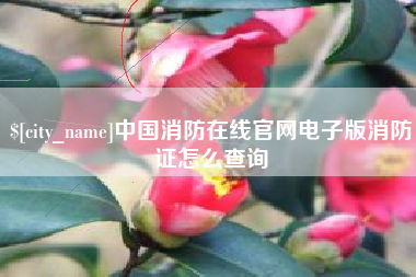 十堰中国消防在线官网电子版消防证怎么查询