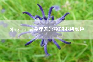 十堰今年九宫格的不利颜色