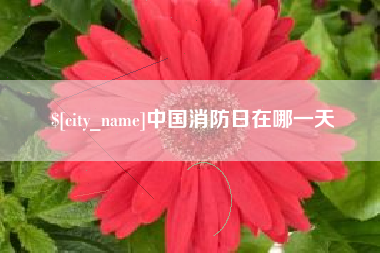 十堰中国消防日在哪一天