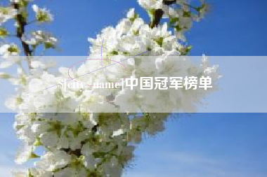 十堰中国冠军榜单