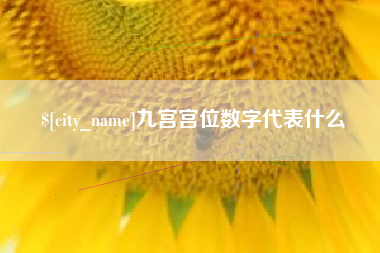 十堰九宫宫位数字代表什么