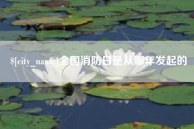 十堰全国消防日是从哪年发起的