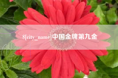 十堰中国金牌第九金