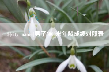 十堰男子5000米年龄成绩对照表