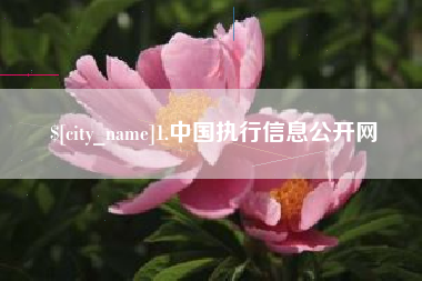 十堰1.中国执行信息公开网