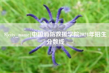 十堰中国消防救援学院2024年招生分数线