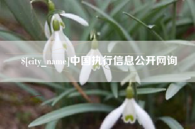 十堰中国执行信息公开网询