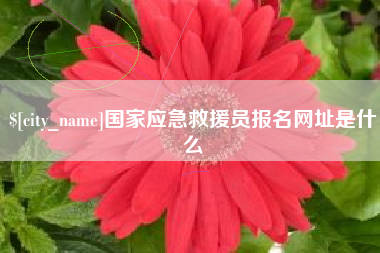 十堰国家应急救援员报名网址是什么