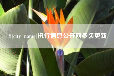 十堰执行信息公开网多久更新