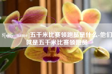 十堰五千米比赛领跑员是什么-他们就是五千米比赛领跑员
