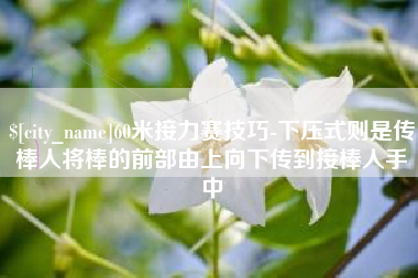 十堰60米接力赛技巧-下压式则是传棒人将棒的前部由上向下传到接棒人手中