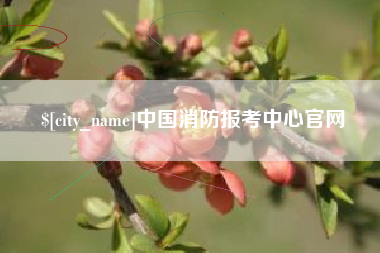 十堰中国消防报考中心官网