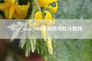 十堰2020年消防学院分数线