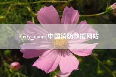 十堰中国消防救援网站
