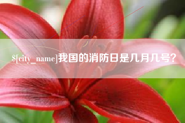 十堰我国的消防日是几月几号？