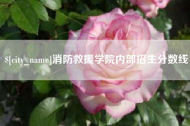 十堰消防救援学院内部招生分数线