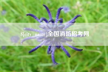 十堰全国消防招考网