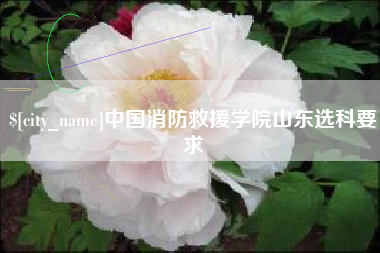 十堰中国消防救援学院山东选科要求