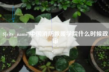 十堰中国消防救援学院什么时候政审