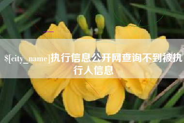 十堰执行信息公开网查询不到被执行人信息