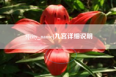 十堰九宫详细说明