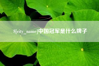 十堰中国冠军是什么牌子