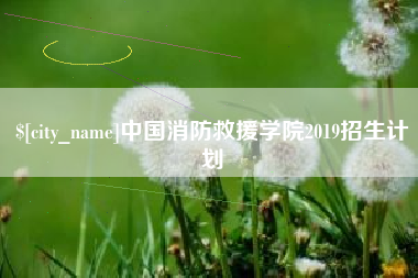 十堰中国消防救援学院2019招生计划