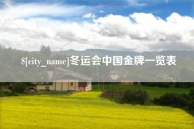 十堰冬运会中国金牌一览表
