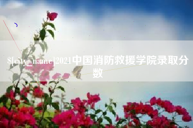 十堰2021中国消防救援学院录取分数