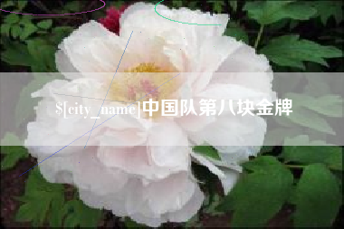 十堰中国队第八块金牌