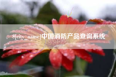 十堰中国消防产品查询系统