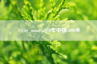 十堰2020年中国5000米