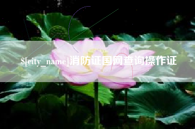 十堰消防证国网查询操作证