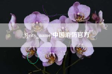 十堰中国消防官方