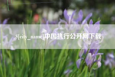 十堰中国执行公开网下载