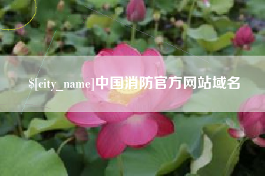 十堰中国消防官方网站域名