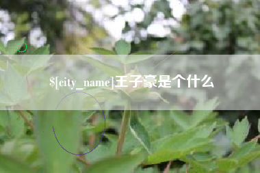 十堰王子豪是个什么