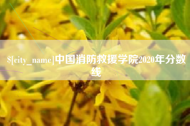 十堰中国消防救援学院2020年分数线