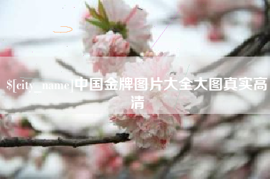 十堰中国金牌图片大全大图真实高清